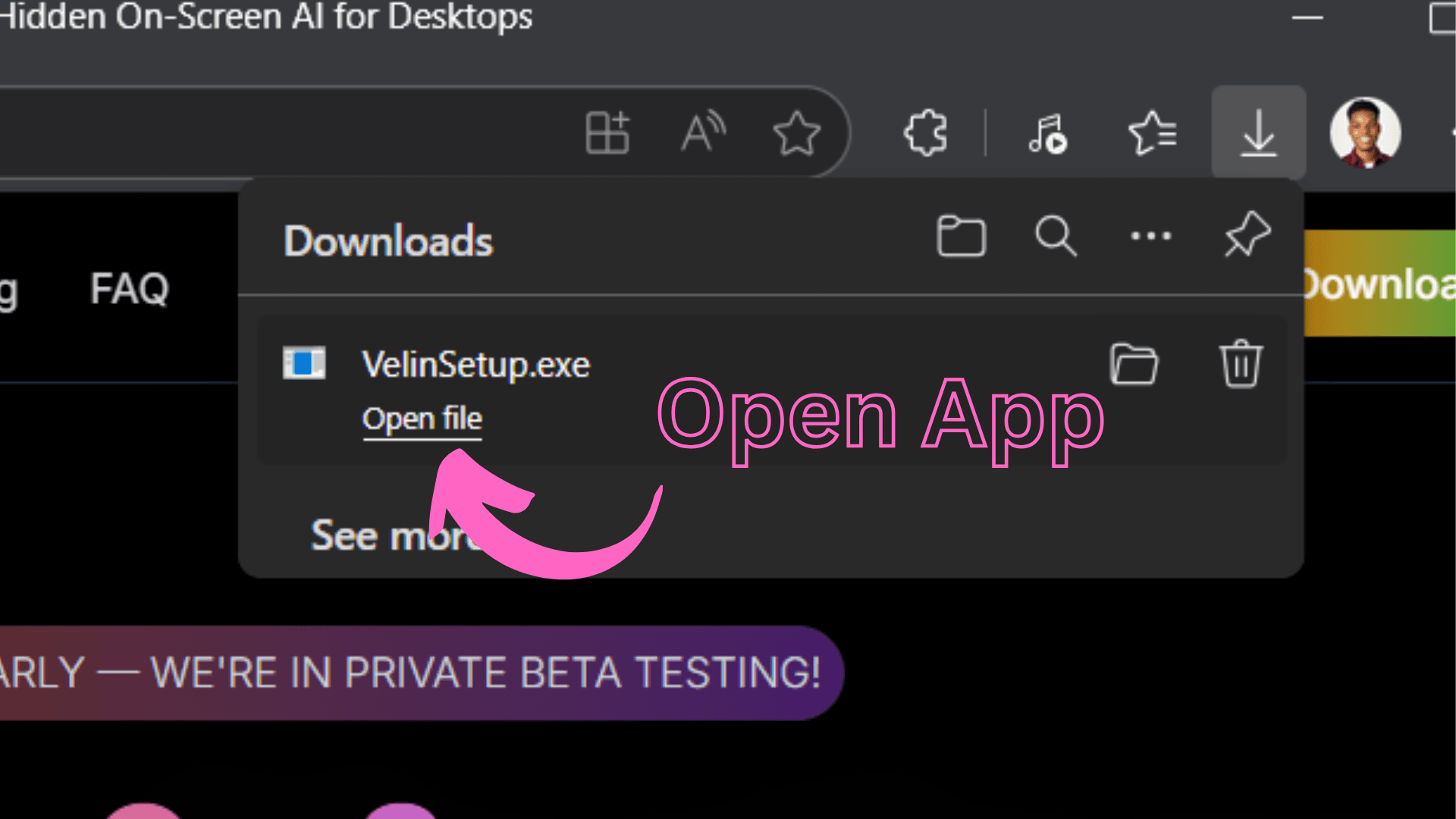 Open the Downloaded VelinSetup.exe File